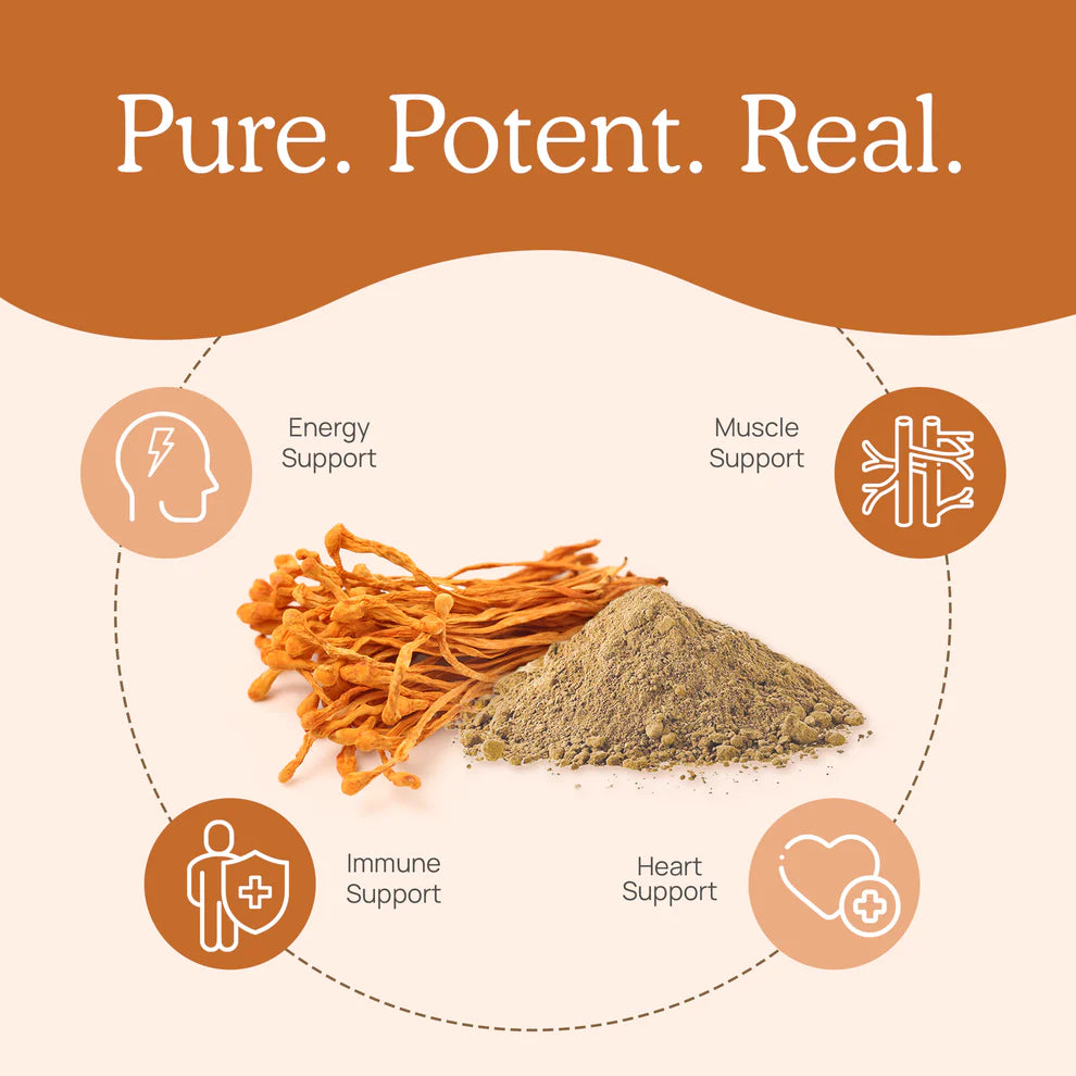 Cordyceps Extract Capsules Real Mushrooms - Nutrigeek