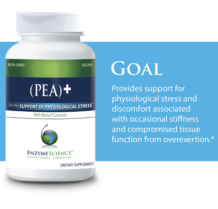 PEA + Meriva Curcumin 60 Capsules Enzyme Science - Premium  from Enzyme Science - Just $46.00! Shop now at Nutrigeek