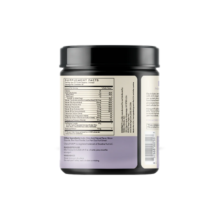 Electrolyte Powder Berry 9 oz (255 g) Terra Origin - Nutrigeek