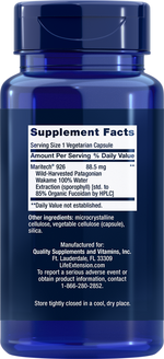 Optimized Fucoidan with Maritech® 926 60 capsules Life Extension - Premium Vitamins & Supplements from Life Extension - Just $27.99! Shop now at Nutrigeek