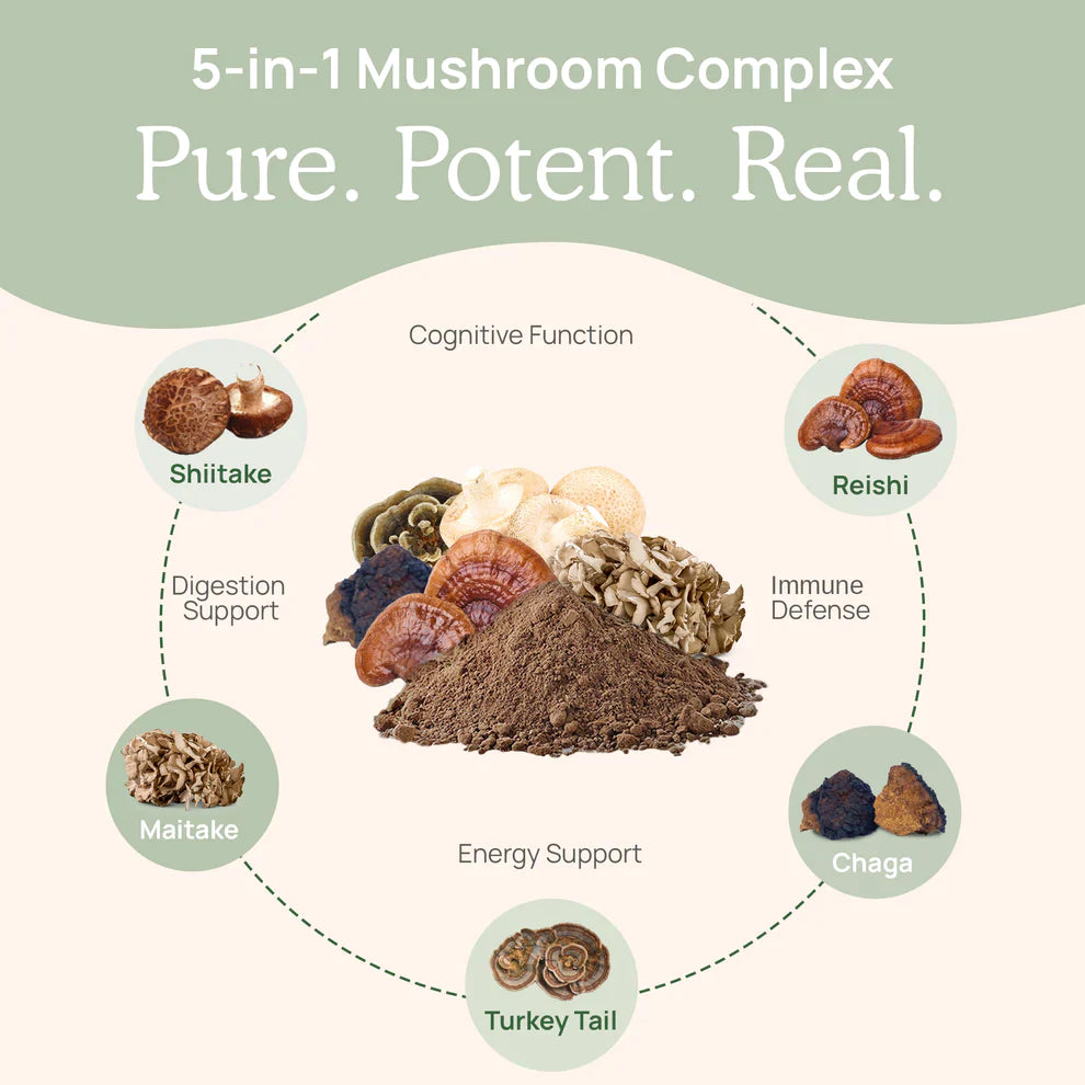 5 Defenders capsules Real Mushrooms - Premium Vitamins & Supplements from Real Mushrooms - Just $37.00! Shop now at Nutrigeek