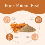 Cordyceps Extract Capsules Real Mushrooms - Nutrigeek
