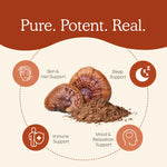 Reishi Mushroom Organic  Capsules Real Mushrooms - Premium Vitamins & Supplements from Real Mushrooms - Just $34.95! Shop now at Nutrigeek
