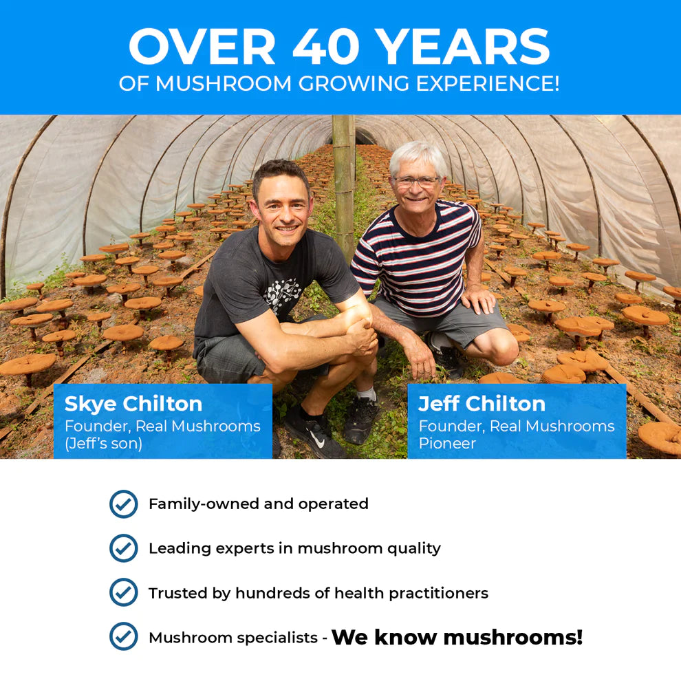 RealRest - Reishi, Valerian and Lemon Balm  60 Capsules Real Mushrooms - Premium  from Real Mushrooms - Just $29.95! Shop now at Nutrigeek