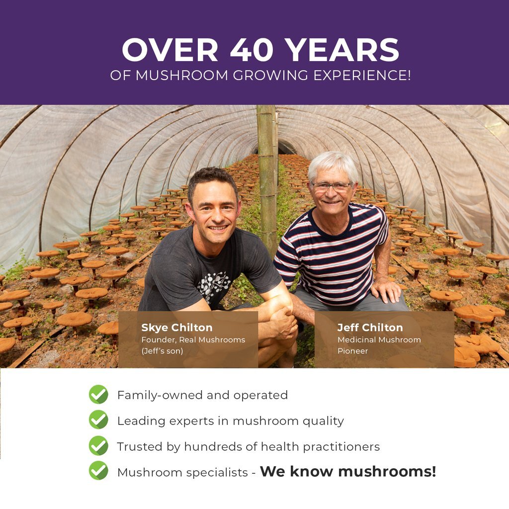 Mushroom D2Z 500 mg  120 capsules Real Mushrooms - Premium  from Real Mushrooms - Just $29.95! Shop now at Nutrigeek