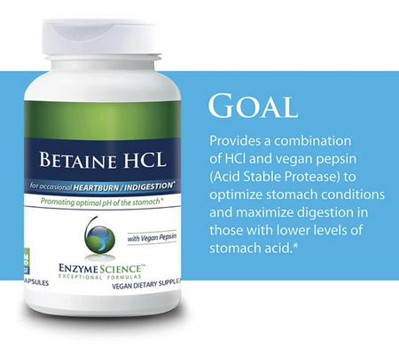 Betaine HCL 120 capsules Enzyme Science - Premium Vitamins & Supplements from Enzyme Science - Just $22.99! Shop now at Nutrigeek