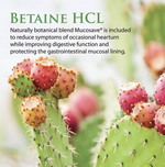 Betaine HCL 120 capsules Enzyme Science - Premium Vitamins & Supplements from Enzyme Science - Just $22.99! Shop now at Nutrigeek