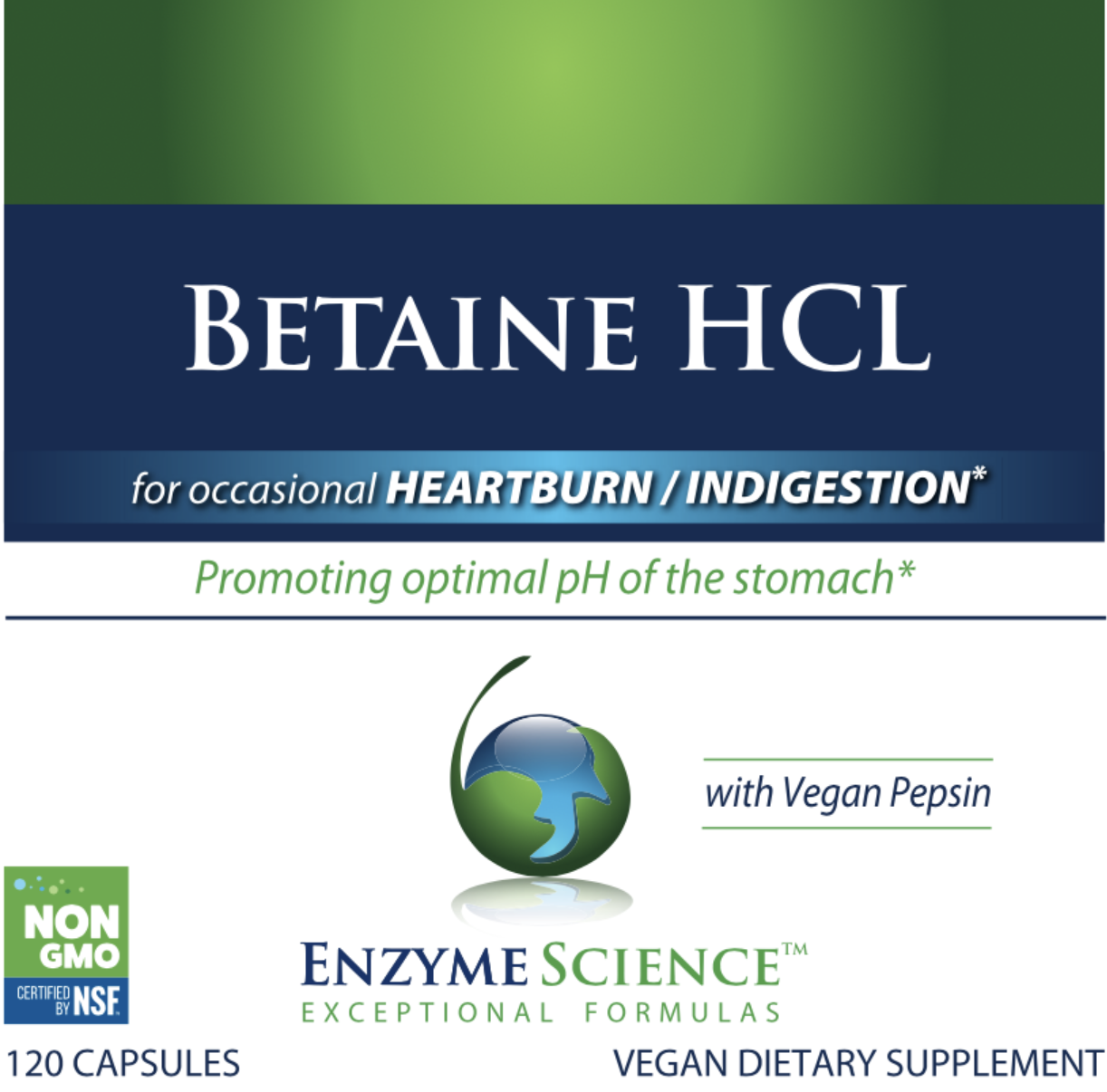 Betaine HCL 120 capsules Enzyme Science - Premium Vitamins & Supplements from Enzyme Science - Just $22.99! Shop now at Nutrigeek